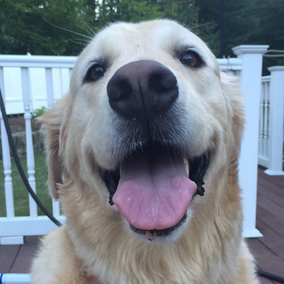 Meet the Posher Other - Meet your Posher, Michaela